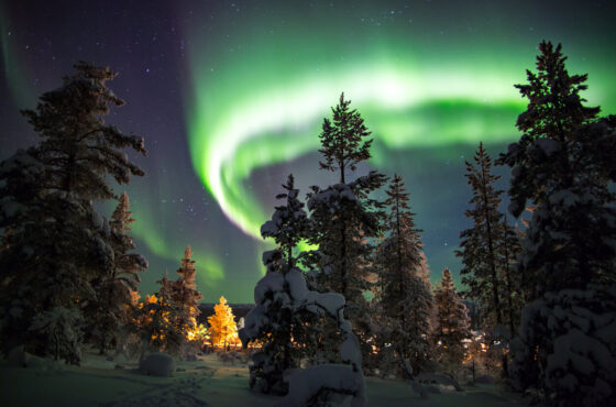 NORTHERN LIGHTS