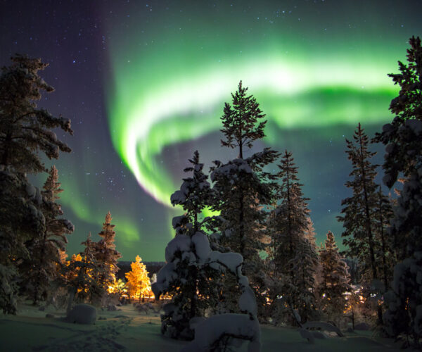 NORTHERN LIGHTS